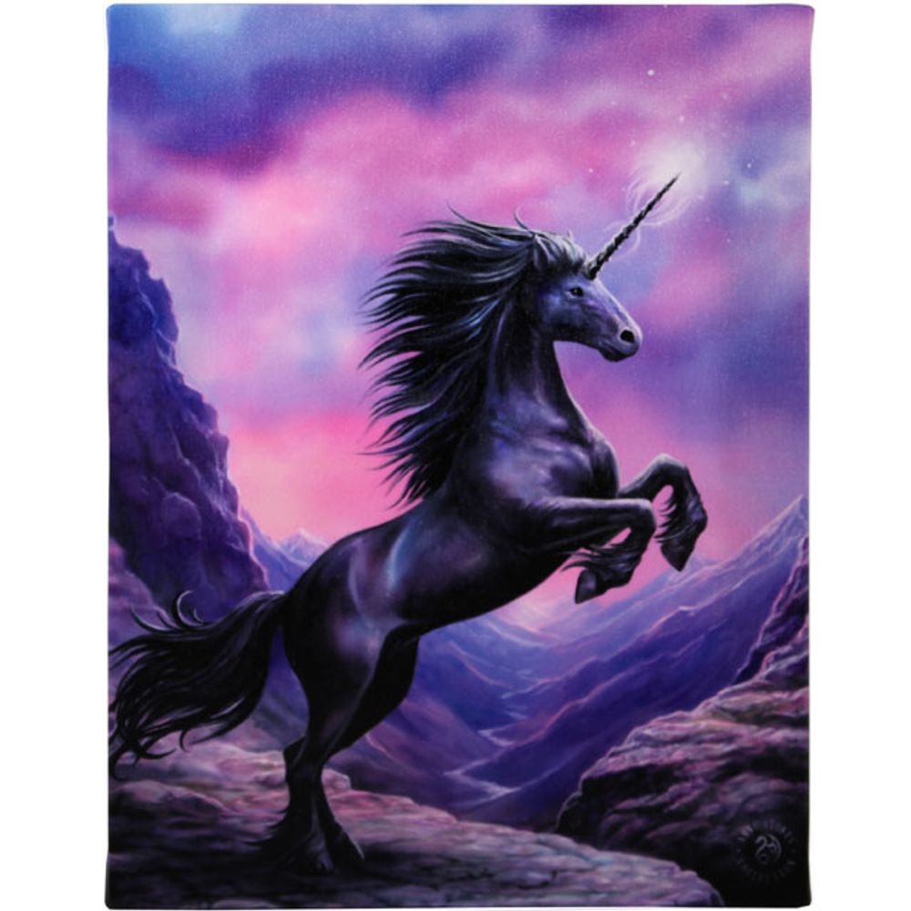 19x25cm Black Unicorn Canvas Plaque by Anne Stokes